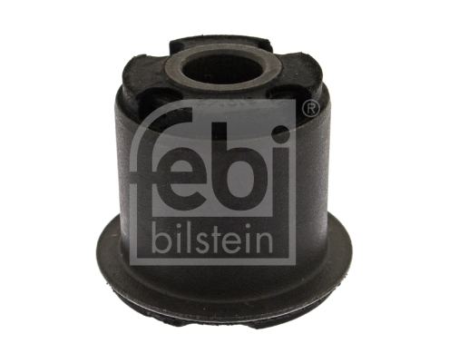Mounting, control/trailing arm